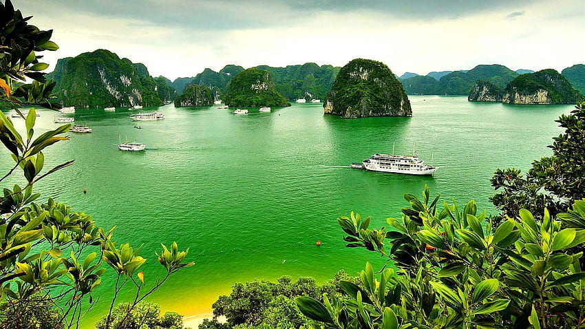 Ditandai dengan Vietnam: Hoi Boat Sunrise Rowing Vietnam Wallpaper HD