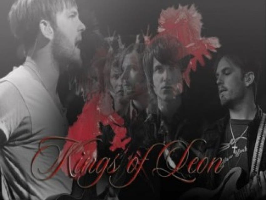 Kings Of Leon, kings, rock, bands HD wallpaper
