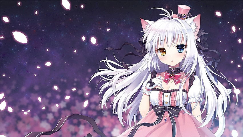 Anime Cat Girl (34 ) neko, Super Cute Anime HD wallpaper