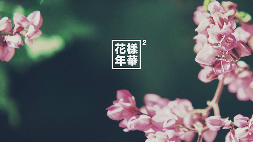 Bts Album, BTS Flower HD wallpaper | Pxfuel