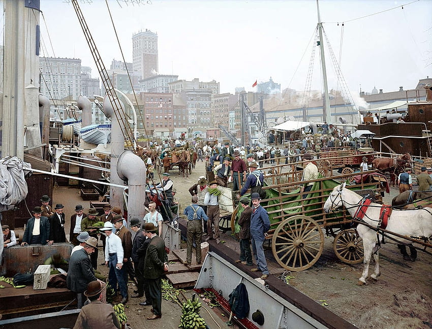 New York Docks (1900), New York City, New York, New York Docks, Vintage HD wallpaper