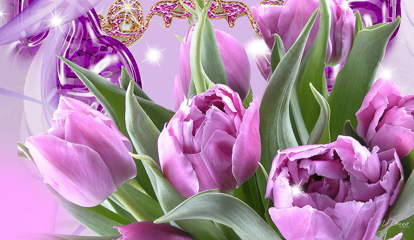 Tulip Amethyst, ungu, persona firefox, cerah, bunga, bunga, bintang, musim semi, flora Wallpaper HD