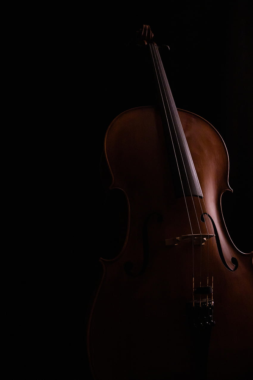 Music, Dark, Musical Instrument, Cello HD phone wallpaper