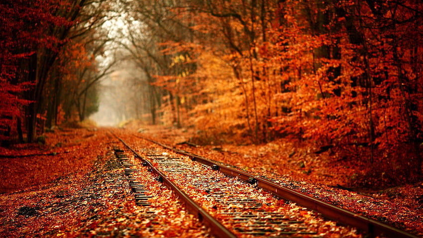 Beautiful Autumn, Plain Autumn HD wallpaper