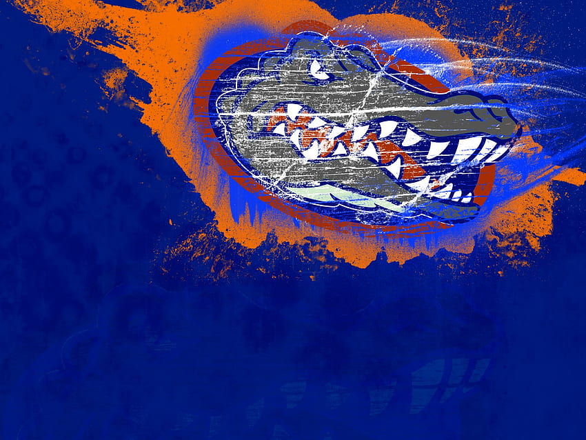Florida Gators HD wallpaper