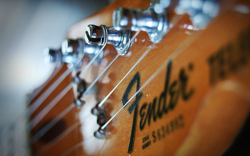 Fender Guitars Stratocaster Fresh New Black and White . HD wallpaper