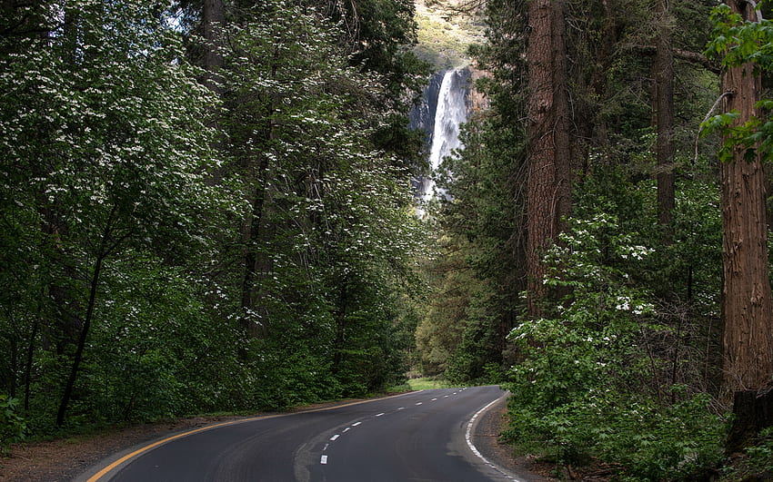Bridalveil Falls, Yosemite Nat'l. parc, californie, vallée, cascade, peuplier, nature, usa Fond d'écran HD