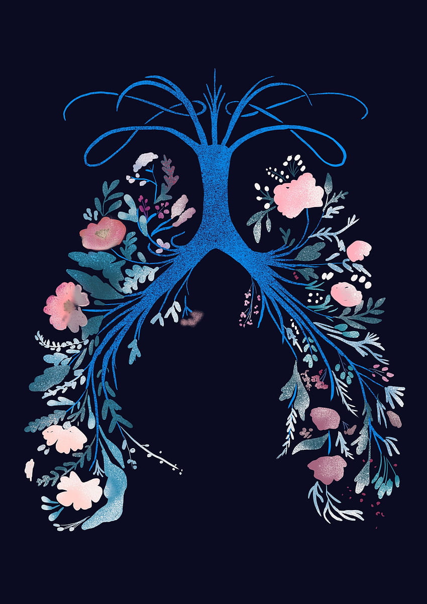 Lungs, Respiratory HD phone wallpaper