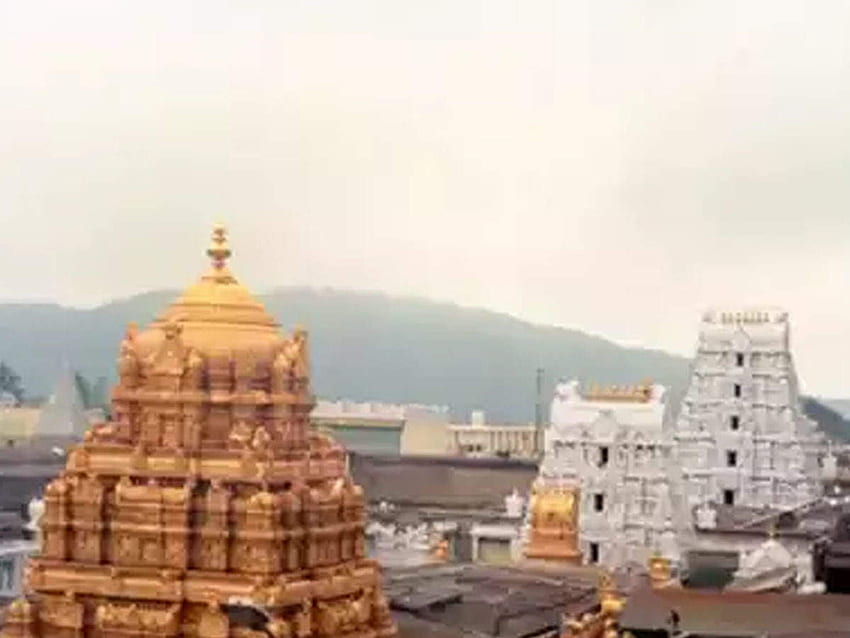 tirumala tirupati temple: Latest News & Videos, about tirumala tirupati temple. The Economic Times HD wallpaper