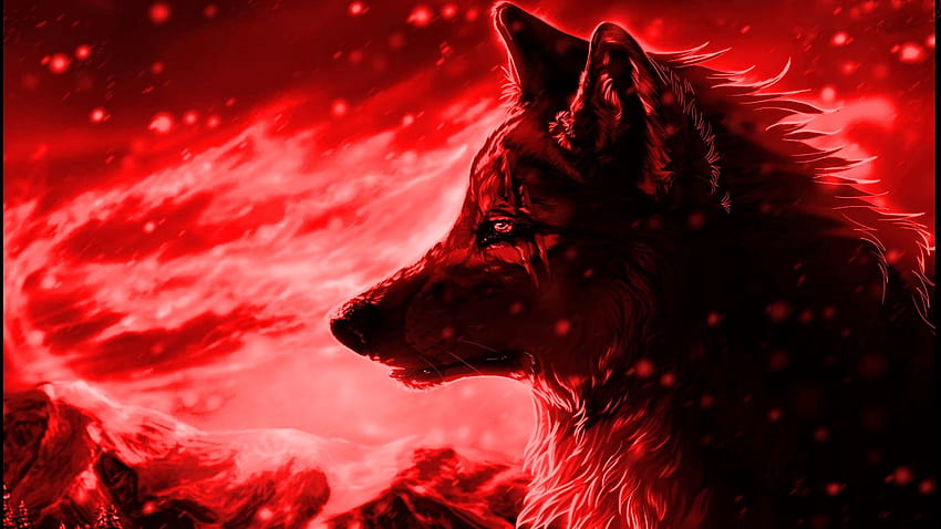 Cool Wolf - 2021 Canlı, Anime Siyah ve Kızıl Kurt HD duvar kağıdı
