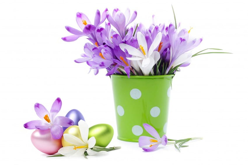 크로커스 꽃, 꽃다발, 크로커스, 부활절, 꽃, 계란 HD 월페이퍼