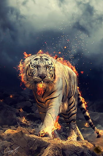 Tiger Live Wallpaper - Descargar APK para Android | Aptoide