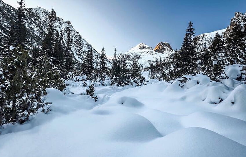 เทพนิยายฤดูหนาว ฤดูหนาว สีขาว หิมะ ต้นไม้ เทพนิยาย ความงาม ภูเขา วอลล์เปเปอร์ HD