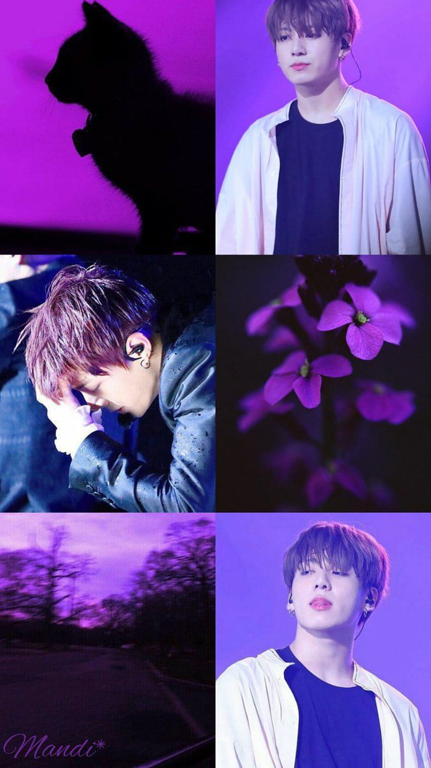 Aesthetics, Kookie HD phone wallpaper | Pxfuel