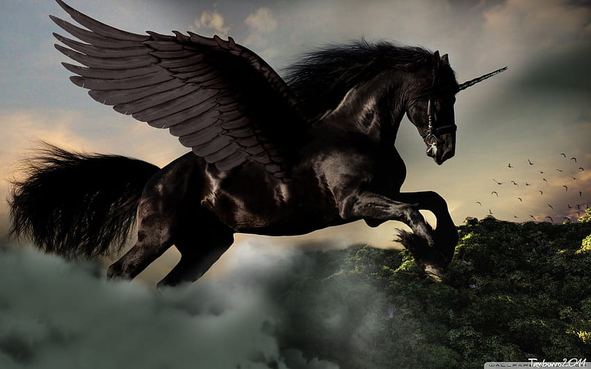Pegasus, Dark Pegasus HD wallpaper