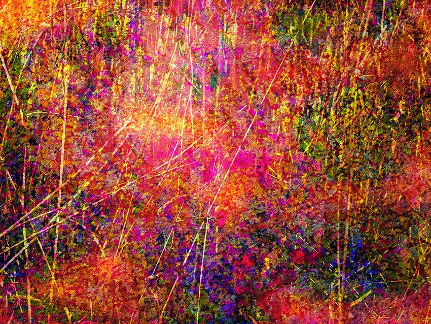 Lebendige Substanz: Jackson Pollocks Sommergarten HD-Hintergrundbild