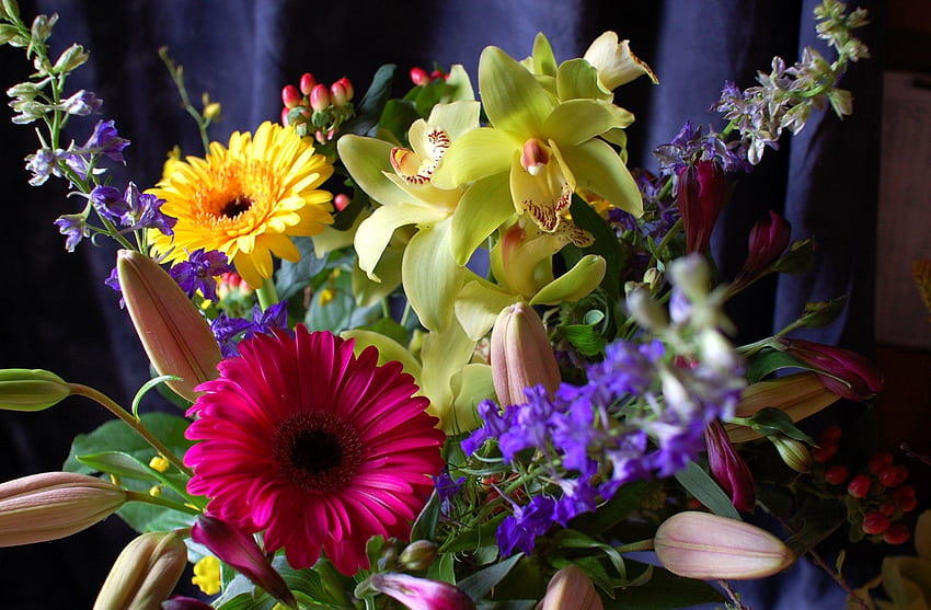 ดอกไม้, Gerberas, การลงทะเบียน, การพิมพ์, ช่อดอกไม้, องค์ประกอบ, กล้วยไม้ วอลล์เปเปอร์ HD