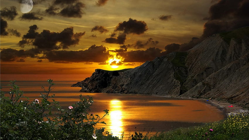 magnifiques falaises côtières au coucher du soleil, mer, réflexion, falaises, côte, nuages, fleurs, coucher de soleil Fond d'écran HD