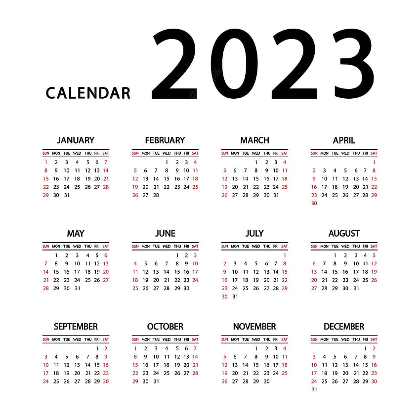  2023 2023 