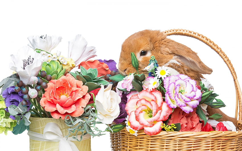 Kelinci Musim Semi, Paskah, pita, vas, kelinci Paskah, kelinci, keranjang, bunga, Musim semi, busur, kelinci Wallpaper HD