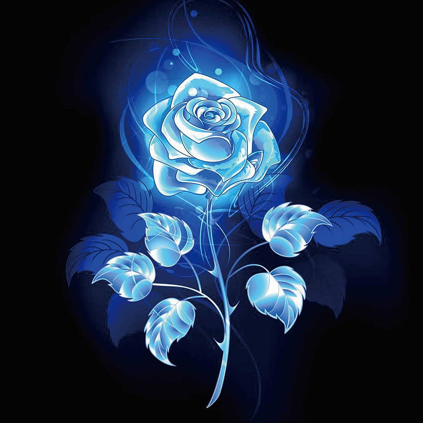 Blue Rose, Smoke Rose HD phone wallpaper
