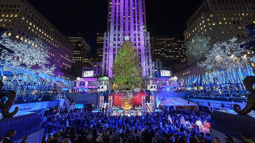 Árvore de Natal do Rockefeller Center no Guia de Nova York, Árvore de Natal da Times Square em Nova York papel de parede HD