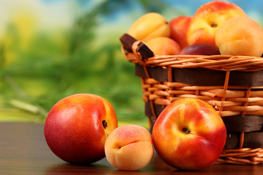 Fruits, Food, Peaches, Basket, Apricots, Nectarine HD wallpaper