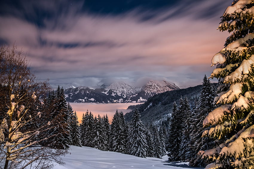 Inverno, Natura, Alberi, Montagne, Neve, Germania, Baviera Sfondo HD