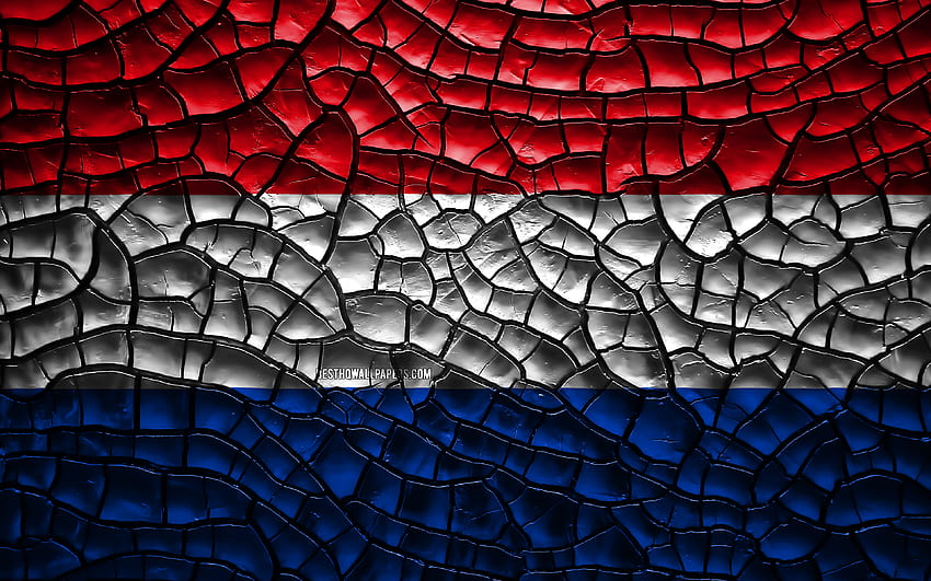 Flag of Netherlands, , cracked soil, Europe, Dutch flag, 3D art, Netherlands,  European countries, national symbols, Netherlands 3D flag for with  resolution . High Quality HD wallpaper | Pxfuel