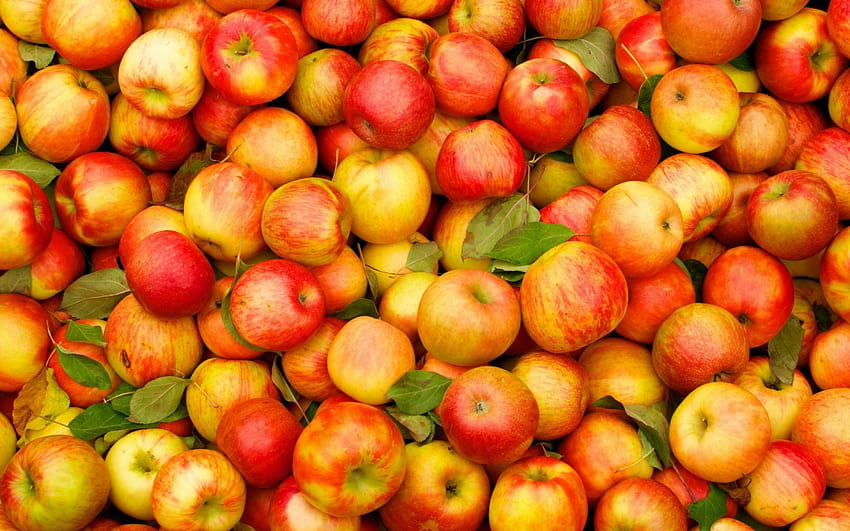 リンゴ、甘い、デザート、食べ物、オレンジ、緑、黄色、赤、果物、リンゴ、葉 高画質の壁紙