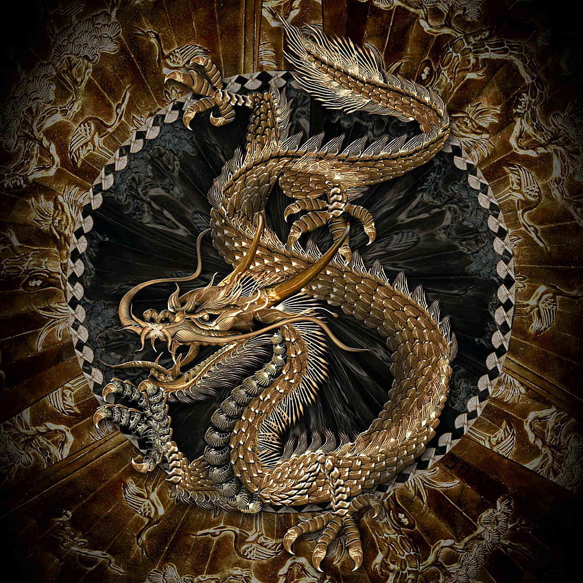 GOOGLE: Chinese Dragon King - (น่าสนใจมาก) ด้วย วอลล์เปเปอร์โทรศัพท์ HD