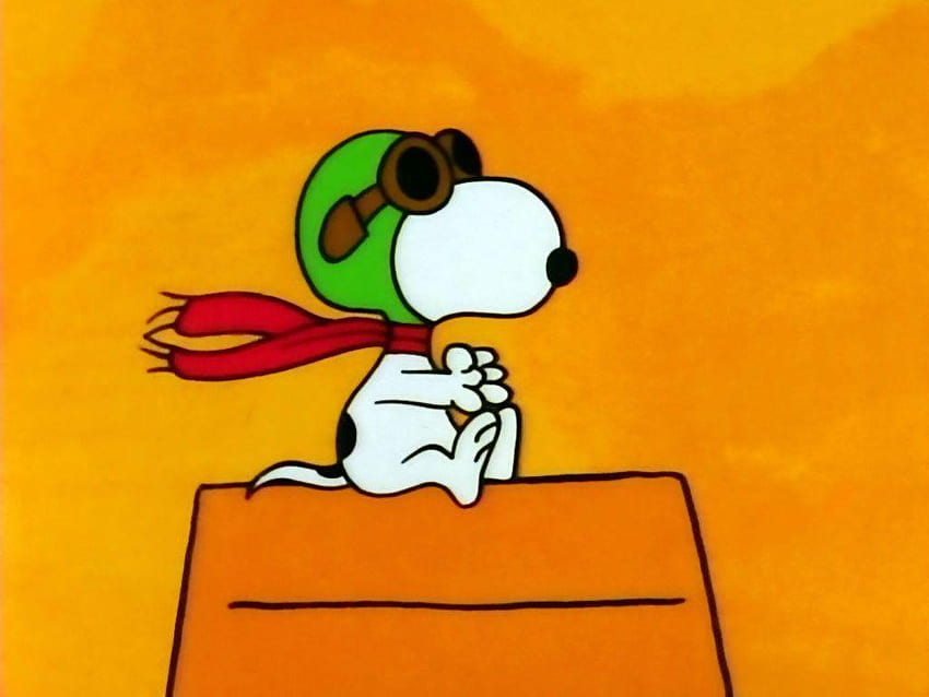 Thanksgiving Snoopy, Peanuts Thanksgiving HD wallpaper