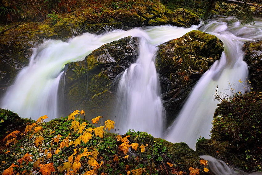 Планински поток, спокойствие, тройно, хубаво, каскади, есен, вода, спокойствие, падане, красиво, скали, камъни, планина, падане, листа, красиво, клони, водопад, природа, прекрасно, спокойствие, гора, зеленина, поток HD тапет