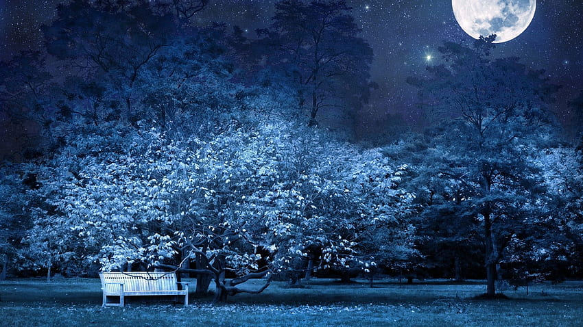 noite, banco, parque, árvores, estrelas, lua cheia, céu, luz, escuridão Full Background papel de parede HD