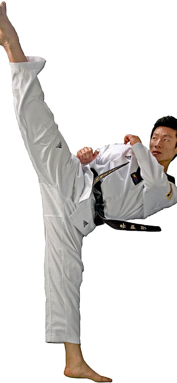 Taekwondo – Kicks and Punches Galore. FOS Media Students' Blog ...