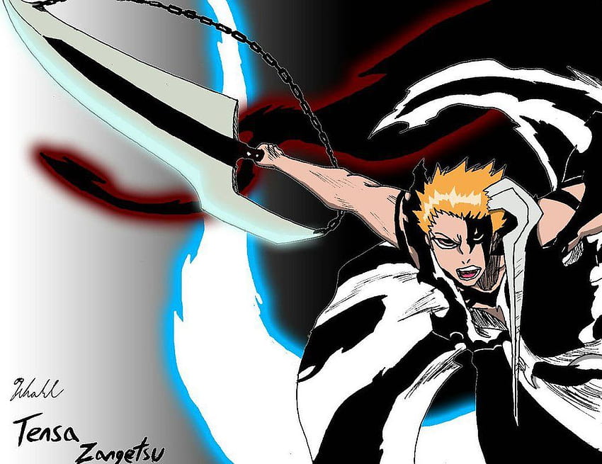 Tensa Zangetsu Final HD wallpaper | Pxfuel