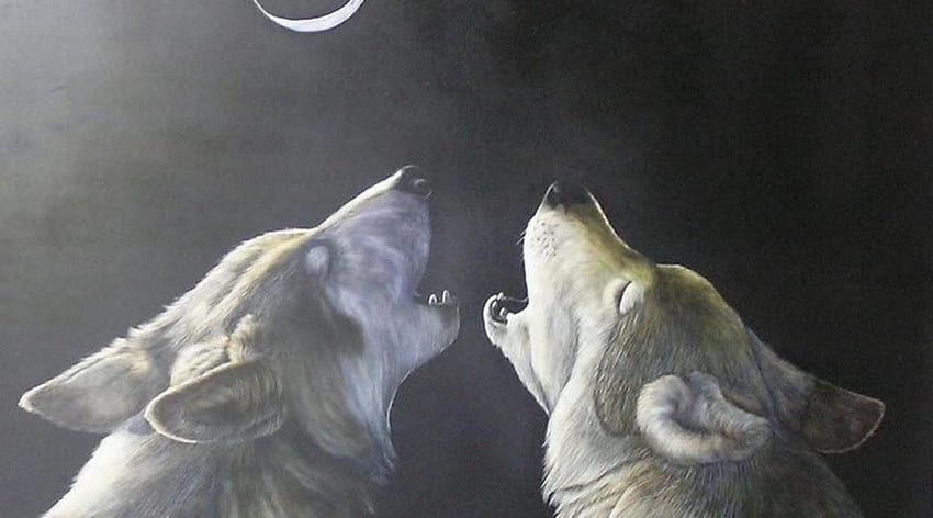 wolf art, winter, dog, canis lupus, lone wolf, wolf, howling, snow, the pack, mythical, white, timber, wolves, grey, lobo, wisdom beautiful, grey wolf, wisdom, canine, maned wolf nature, friendship, arctic, solitude, black, quotes, wolf pack, , wild animal black, wolfrunning, moon, abstract, pack, majestic, howl, spirit, wolf HD wallpaper