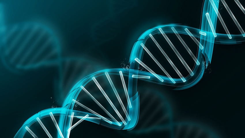 ADN, spirale, sombre, lignes, figure, Génie biomédical Fond d'écran HD
