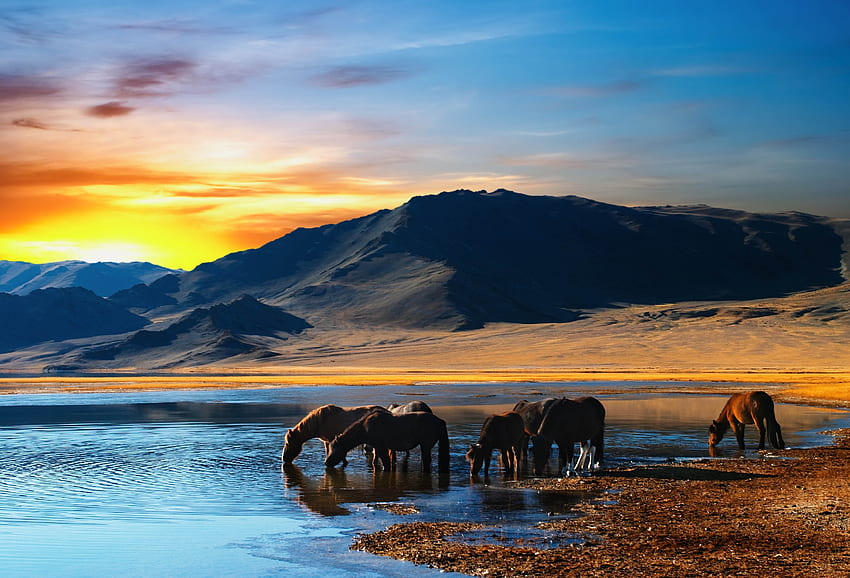 Tiere, Sonnenuntergang, Berge, Pferde, See, Herde, Tränken, Wasserstelle HD-Hintergrundbild
