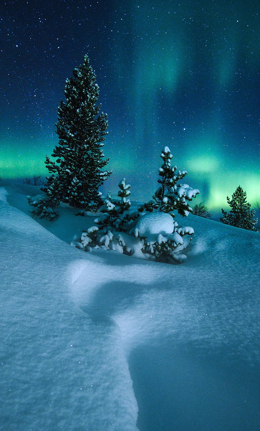Northern Lights Círculo Polar Ártico Noruega iPhone , , y fondo de pantalla del teléfono