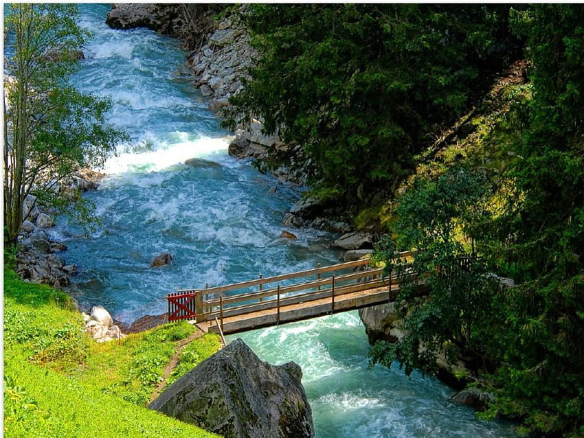 mały mostek, mostek, rzeka, trawa, mały Tapeta HD