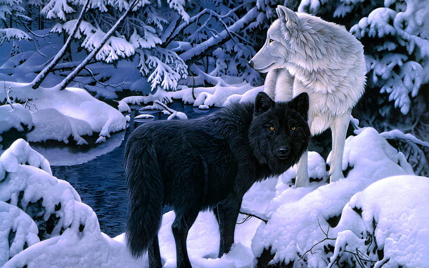 Wolf And Background 18182 [] for your , Mobile & Tablet. Explore Wolves Background. Wolves Background, Wolves , Wolves, Christmas Wolves HD wallpaper