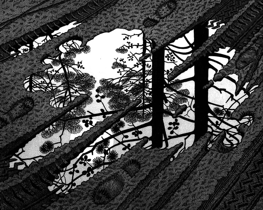 Escher Widescreen [] за вашия мобилен телефон и таблет. Разгледайте Escher. Mc Escher, MC Escher, MC Escher Screensaver, Луис Алберто Спинета HD тапет