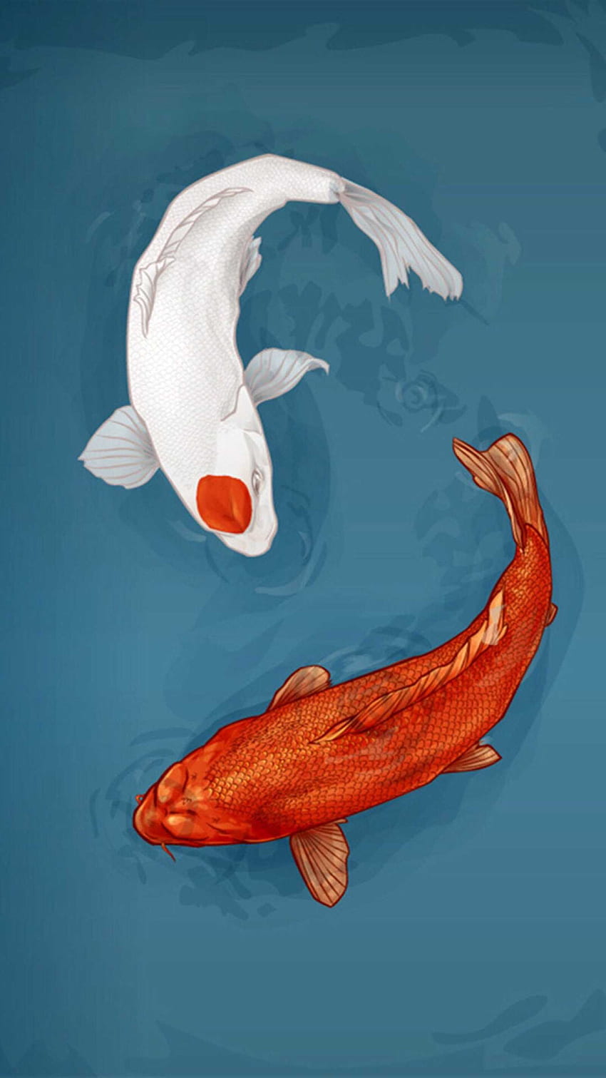 Ryba Koi - Niesamowita, niebieska Koi Tapeta na telefon HD