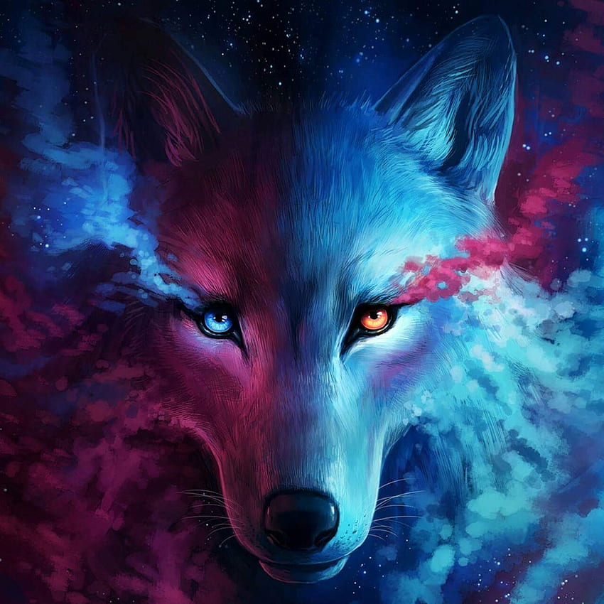 Bare Wolf Videos, Kawaii Wolf HD phone wallpaper