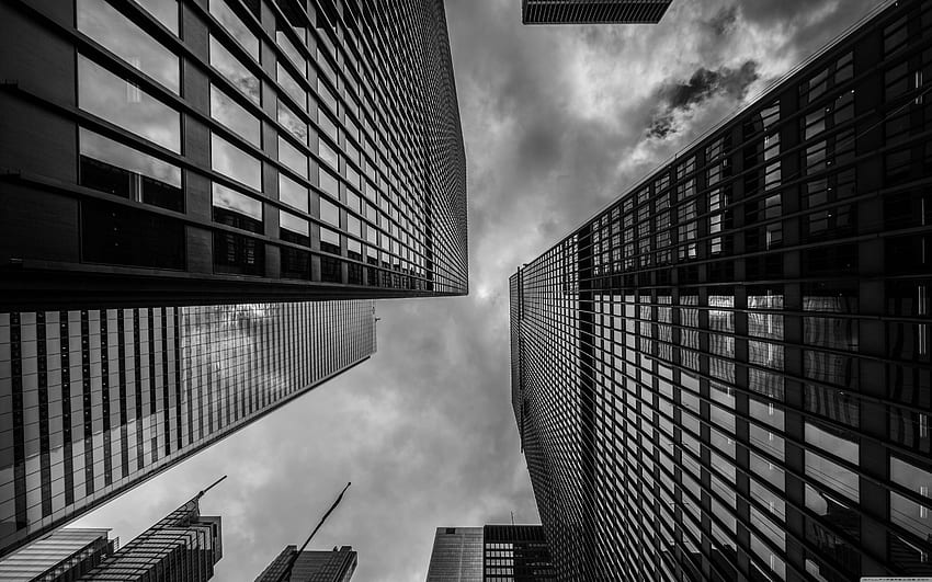Patrząc w górę, Financial District ❤ dla, Finance Tapeta HD