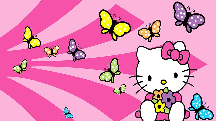Hello Kitty For Android Phone HD phone wallpaper  Pxfuel