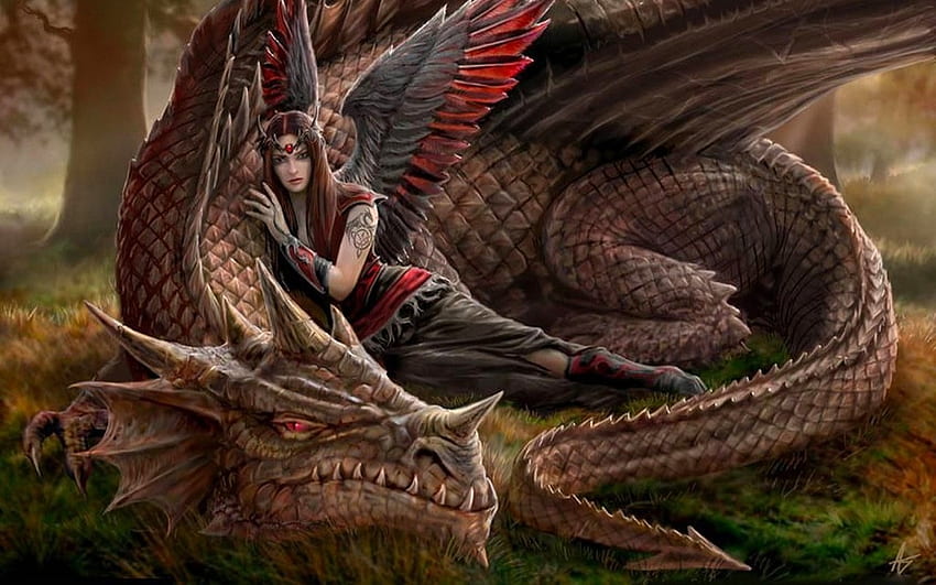Anjo e dragão, ang, marrom, arte, fantasia, vermelho, dragão, menina, anne stokes, anjo papel de parede HD