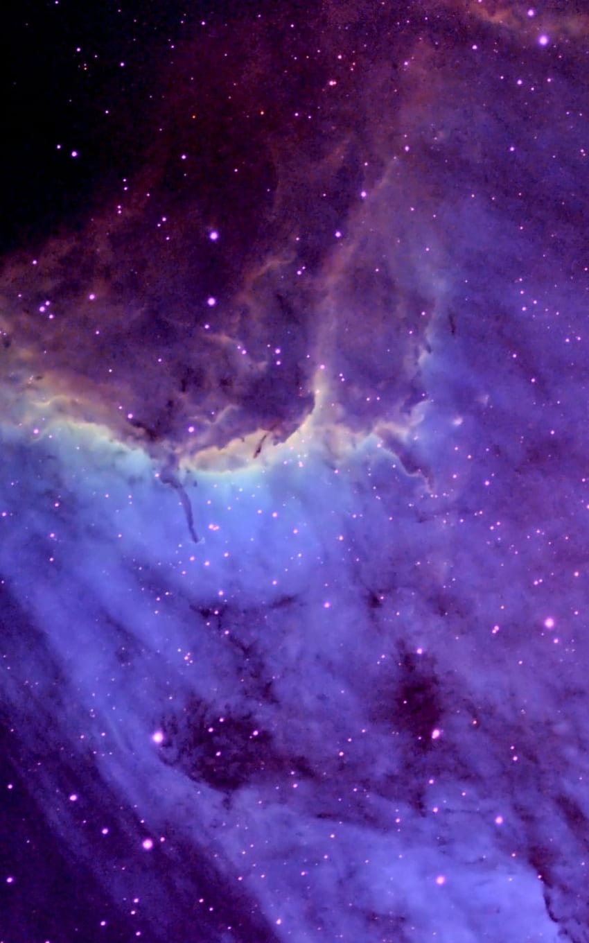 Pelikan-Nebel, violette und schwarze Galaxie • Für Sie für & Mobile, rosa und schwarze Galaxie HD-Handy-Hintergrundbild