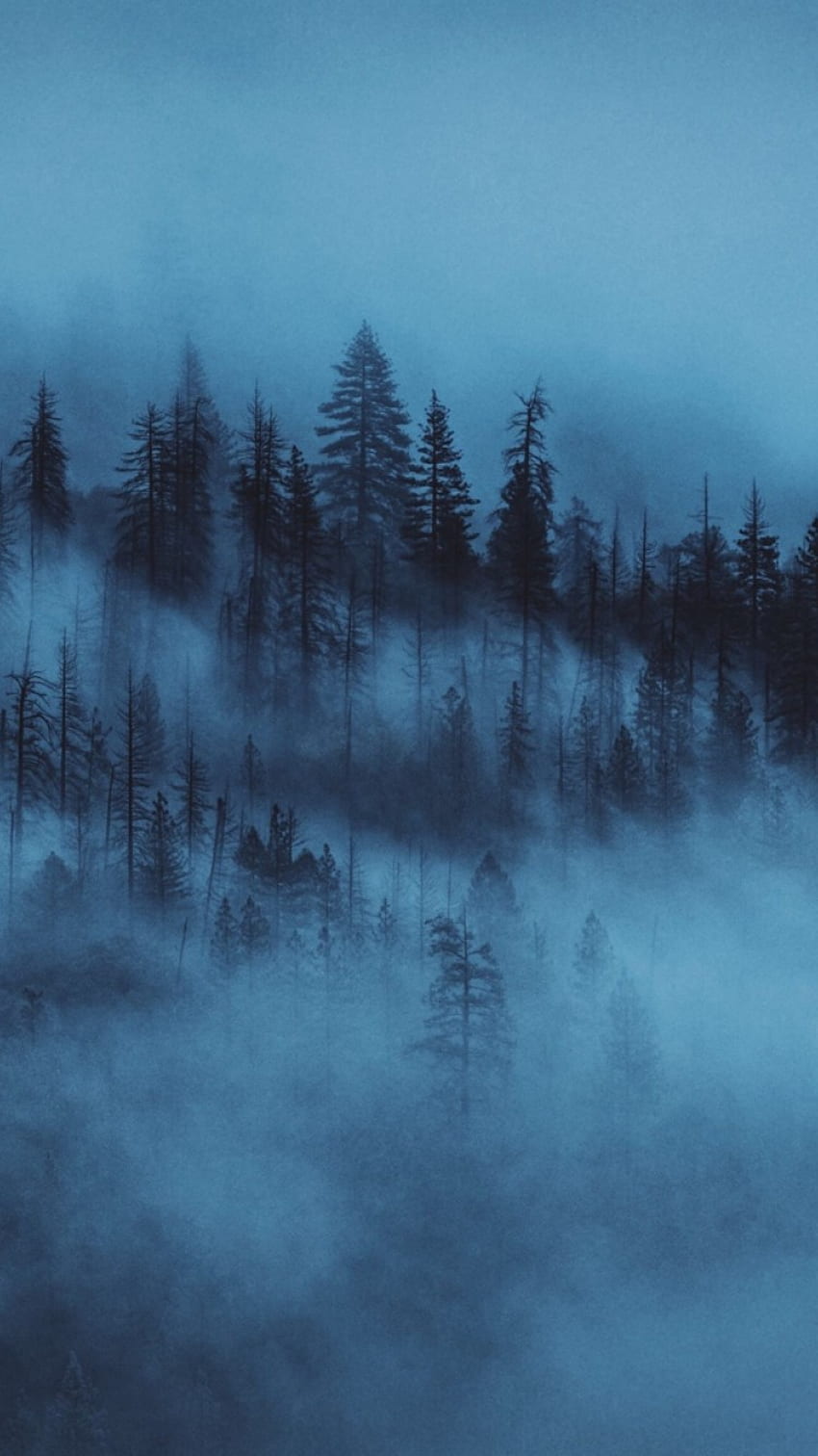Nacht in einem nebligen Wald iPhone 6 / 6S - , Foggy Aesthetic HD-Handy-Hintergrundbild